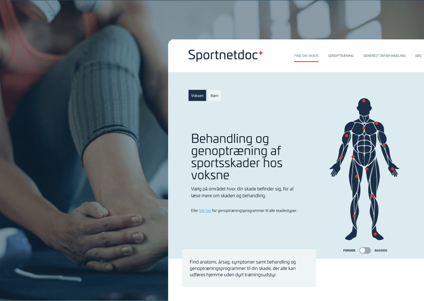 Sportnetdoc — Full rebrand and CMS build for a sports injury platform